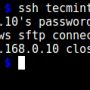 test-ssh-chroot-jail.png
